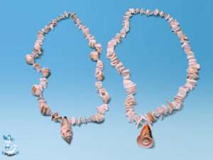 Kette Muschelkasten diverse unso 80cm