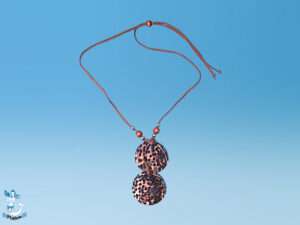 Kette 2 Tiger-Scheiben/Lederband