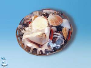 Muschelkorb ca 20 cm