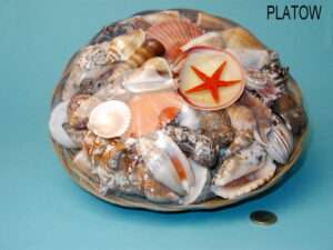 Muschelkorb ca 25 cm