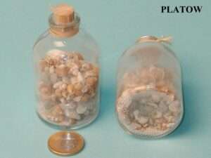 Muschelflasche H7 5 cm D 4 5 cm