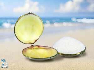 Pillendose Weiß 6 5cm