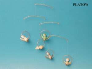 Mobile: 5 Perlmuttfische ver Farben