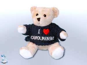 Plüsch Bär  Pulli bl Caroline 12cm