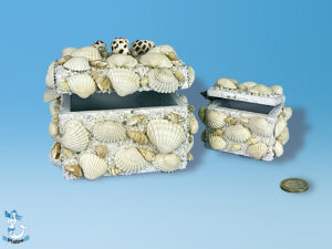 Muschelkasten Holz 2-fach