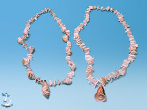 Kette Muschelkasten diverse unso 80cm