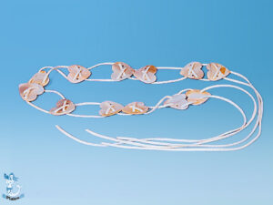 Gürtel Muschelherzen 1 50 m