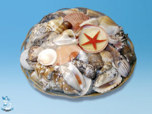 Muschelkorb ca 25 cm