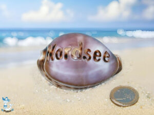 Tigermuschel ca. 7cm Nordsee