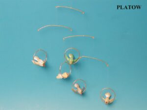 Mobile: 5 Perlmuttfische ver Farben