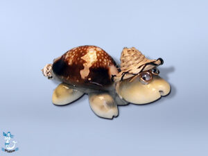 Schildkröte klein, mit Hut + Brille