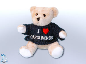 Plüsch Bär  Pulli bl Caroline 12cm