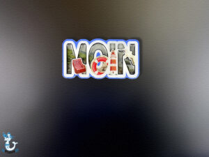 "Moin" Schriftmagnet MDF bunt