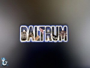 "Baltrum" Schritmagnet MDF bunt